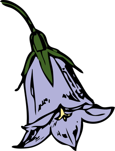 Wektor clipart kwiatu harebell