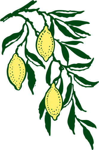 Branch di Vector clip art limone