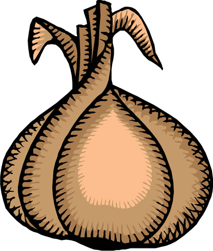 Arte maduro cebolla vector clip