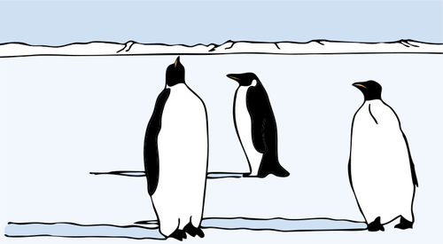 Pingviner vektor illustration