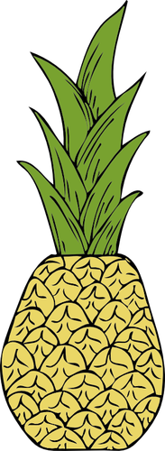 Vector tekening van ananas