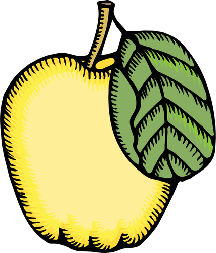Immagine vettoriale di mela cotogna