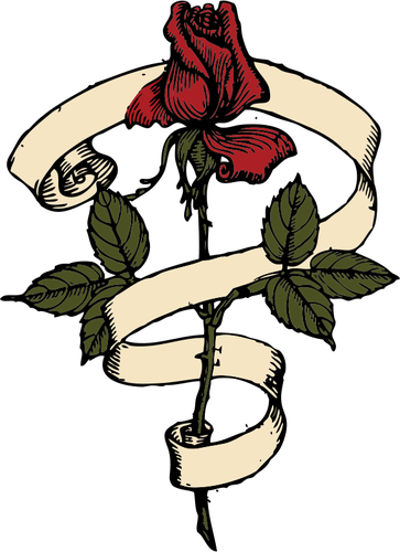 Rose avec dessin vectoriel de dÃ©filement