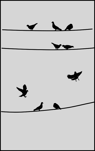 Pigeons on wires clip art