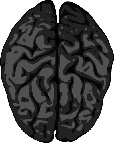 Blurry vector image of human brain