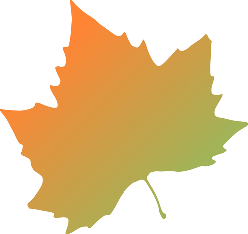 Plane tree autumn leaf vector clip art