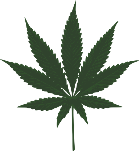Immagine vettoriale di foglia cannabis