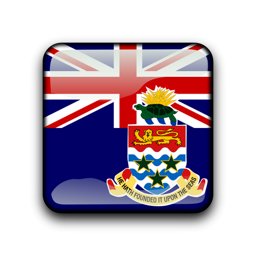 Cayman Islands flag vector
