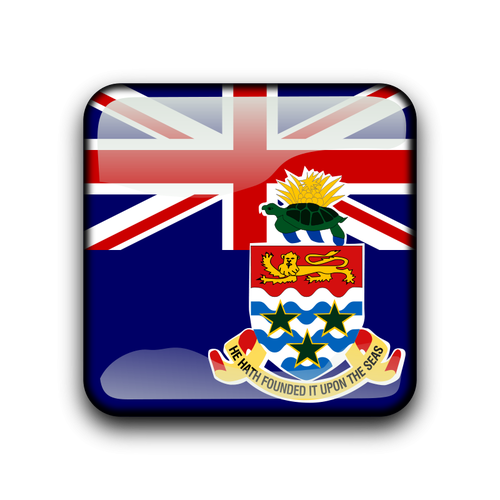 Cayman Islands flag vector