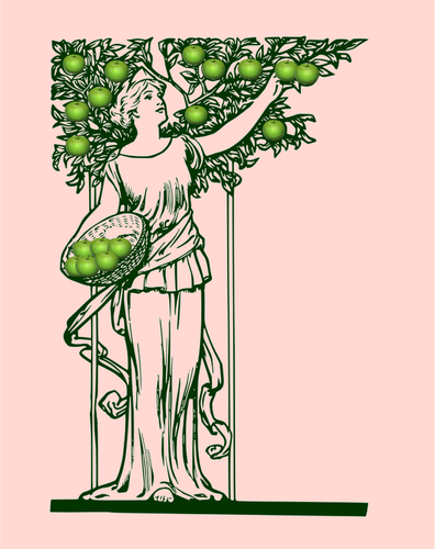 Immagine vettoriale della signora picking mele