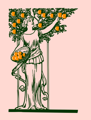 Lady plukke appelsiner