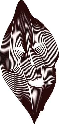 Laughing lines vector drawing