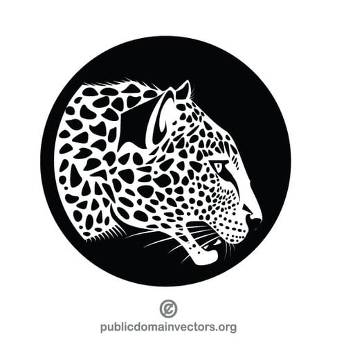 Gato selvagem-leopardo
