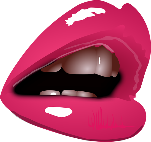 Woman lips with lipstick close up vector image