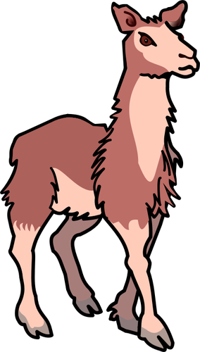 illustration vectorielle de Lama