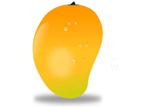 Imagem vetorial de manga fruta