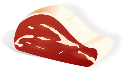 Illustrazione vettoriale del pezzo di carne