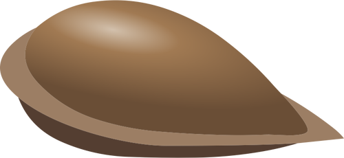 Vector image of apple seed