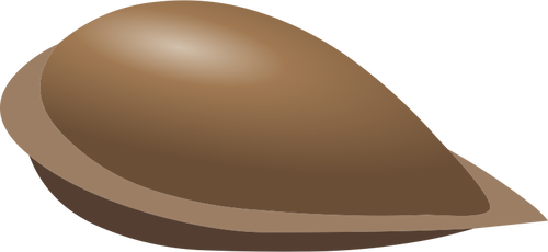 Image vectorielle des semences de pomme