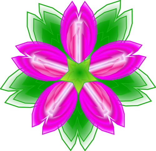 Indian Lotus vector illustration
