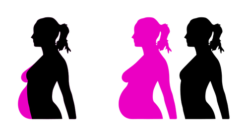 Kehamilan siluet vektor