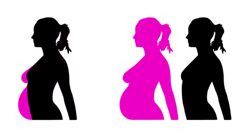 Vector silueta de embarazo