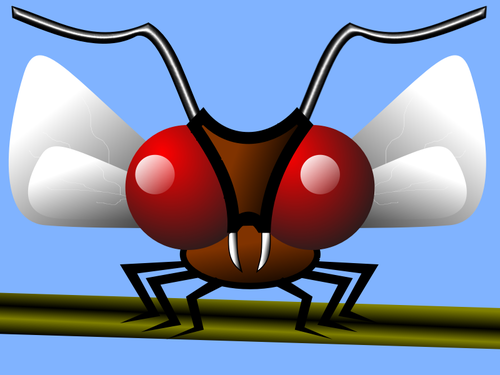 Skremmende rÃ¸de fly