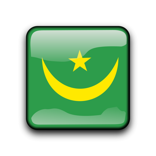 Vlag van MauritaniÃ« vector