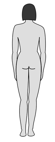 Kvinnliga kroppen silhuett vektor