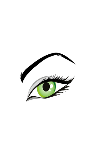 Imagem vetorial de olho verde de senhoras com sobrancelhas