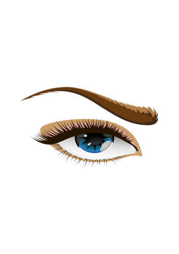 Vectorafbeeldingen van bruin wenkbrauw oog