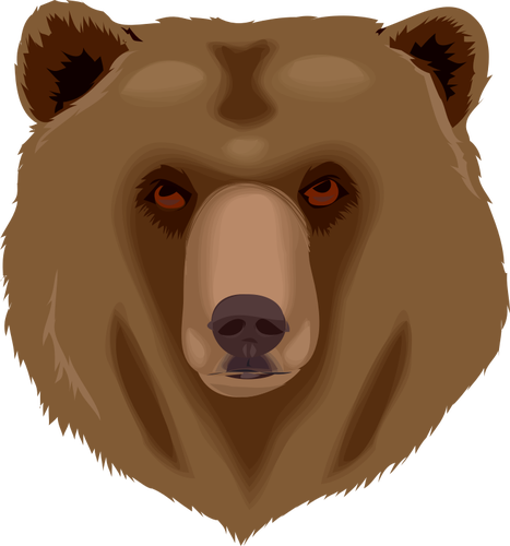 MedvÄ›d grizzly hlavu Vektor Klipart