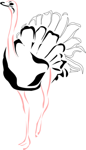 Avestruz com ilustraÃ§Ã£o vetorial de pernas-de-rosa