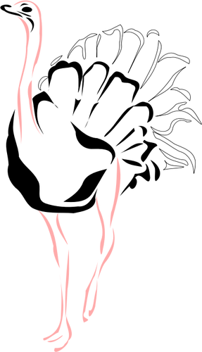 Avestruz com ilustraÃ§Ã£o vetorial de pernas-de-rosa