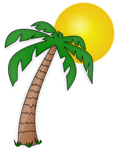 Palmboom en de zon