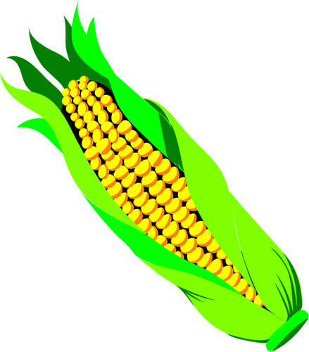 FÃ¤rg vektorbild av ar majs