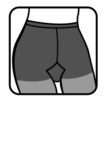 Pantyhose icon vector image