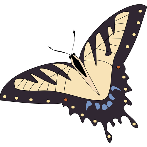 Imagem vetorial de borboleta tropical