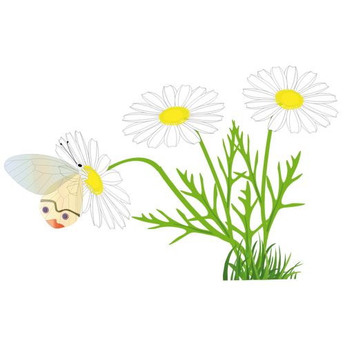 Mariposa sobre una imagen vectorial de Margarita