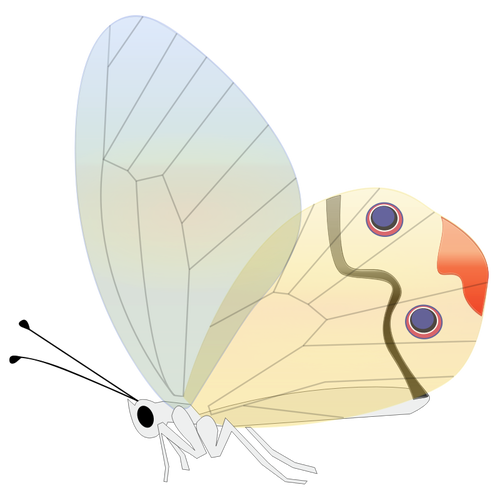 IlustraÃ§Ã£o vetorial de borboleta em quadrinhos