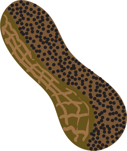 Simbol kacang