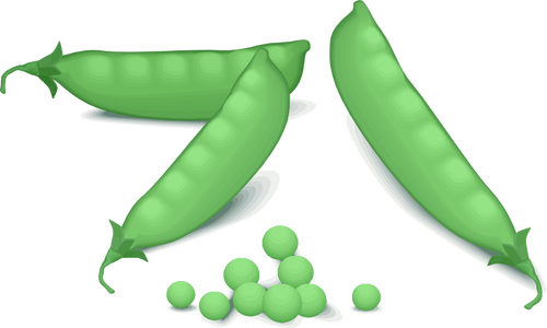 Image vectorielle de pois verts