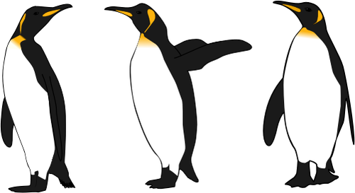 TrÃªs rei pinguins