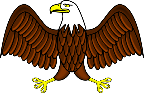 Immagine vettoriale bald eagle a colori