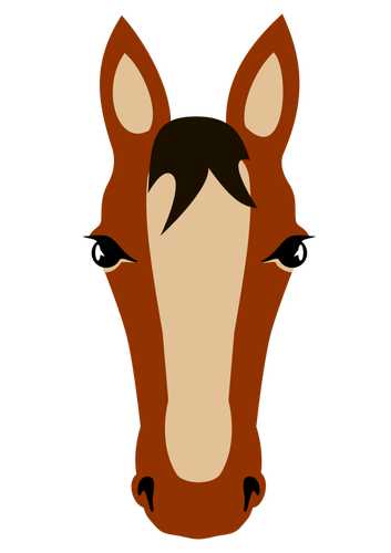 Cara de caballo