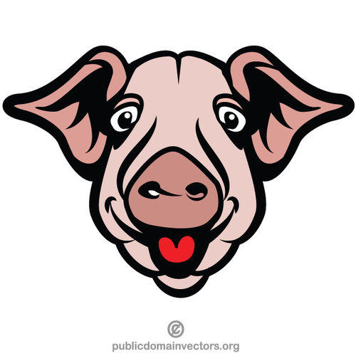 Testa di un maiale felice