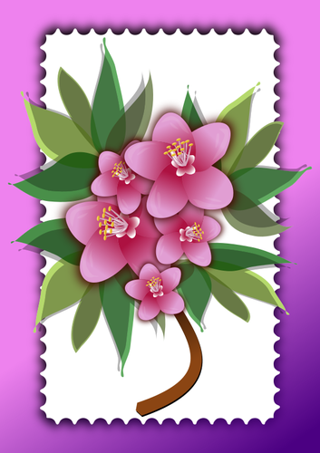 Pink flowers vector image