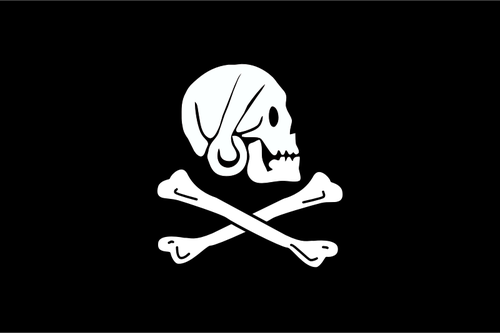 IlustraÃ§Ã£o em vetor da bandeira de pirata com caveira olhando de soslaio