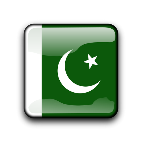 PakistÃ¡n vector bandera dentro de forma cuadrada