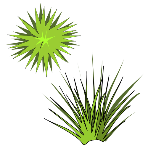Vector Illustrasjon av grÃ¸nn spiky plante med grÃ¸nn sol ovenfor
